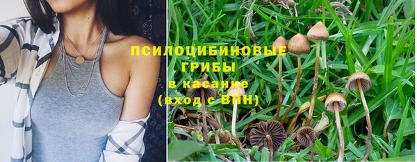меф Медвежьегорск