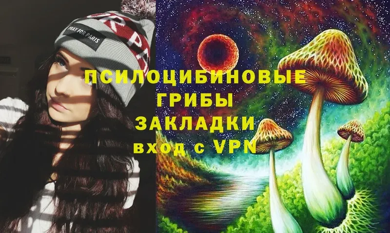 Галлюциногенные грибы мицелий  Вичуга 