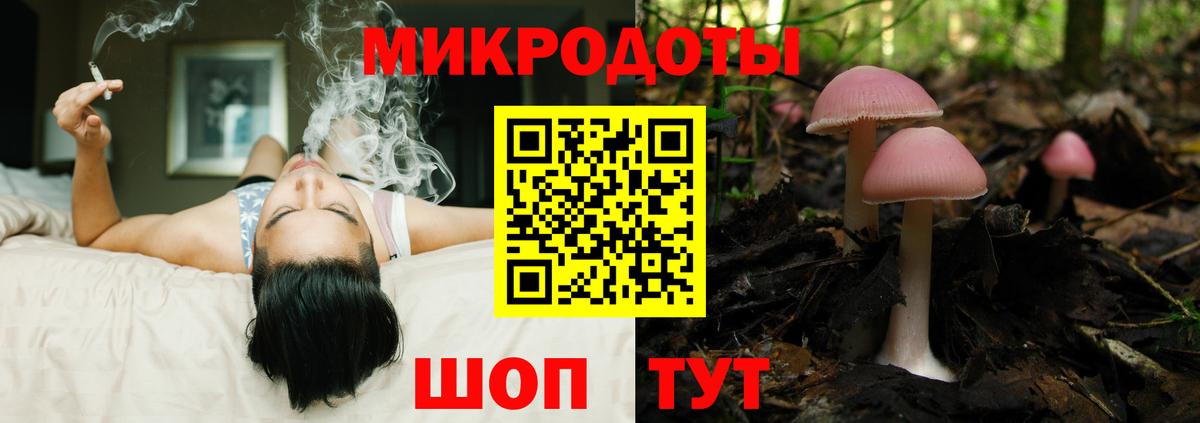 Вичуга  Псилоцибиновые грибы Psilocybe  Вход с VPN  Галлюциногенные грибы мухоморы 
